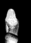 avatar_Shl