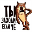 avatar_servimor