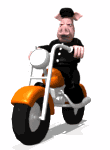 avatar_Neh513