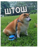 avatar_Be1fi