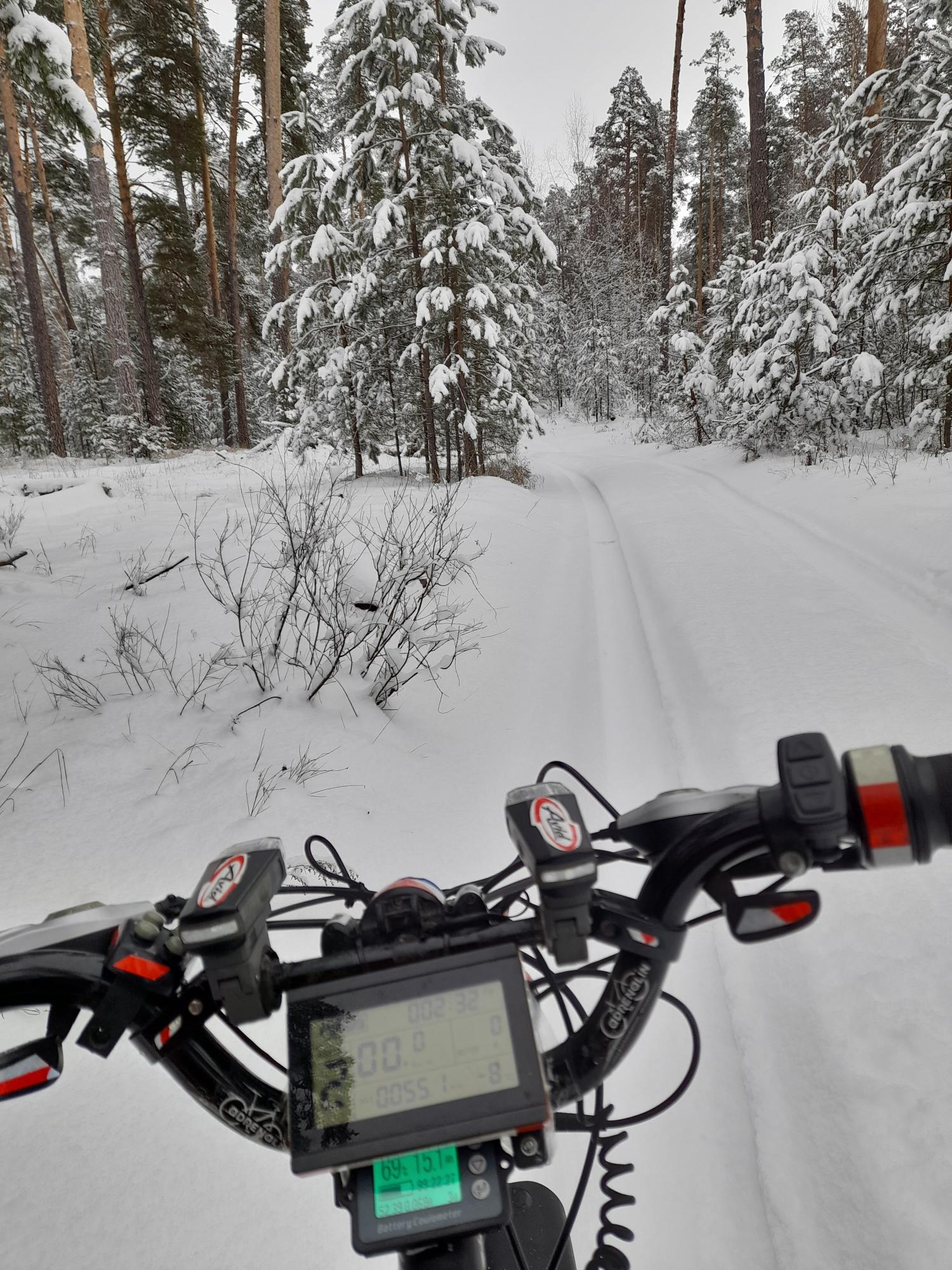 Езда зимой. На электровелосипеде, электроскутере - Страница 409